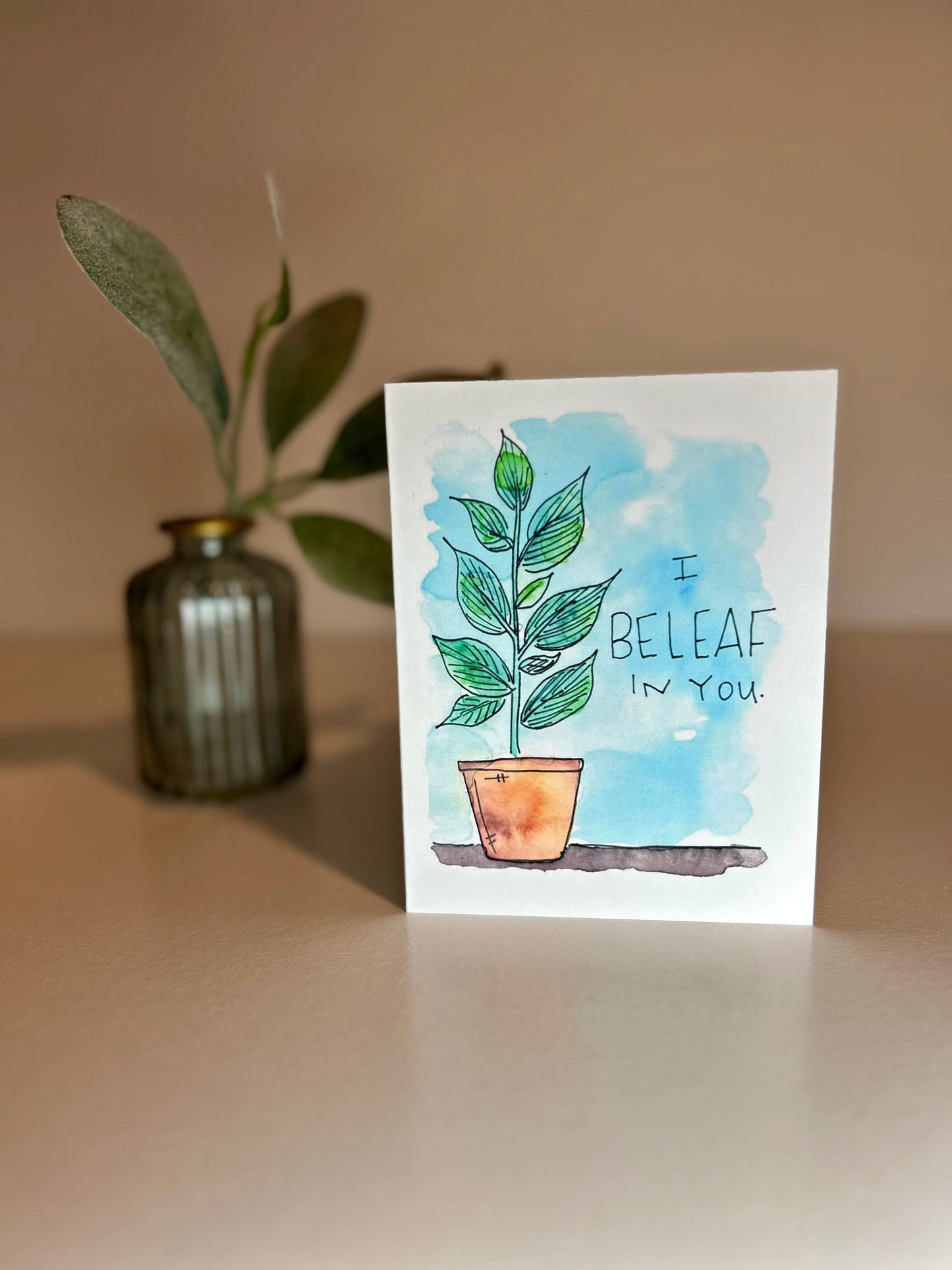 Assorted 6 Pack - Positive Plants