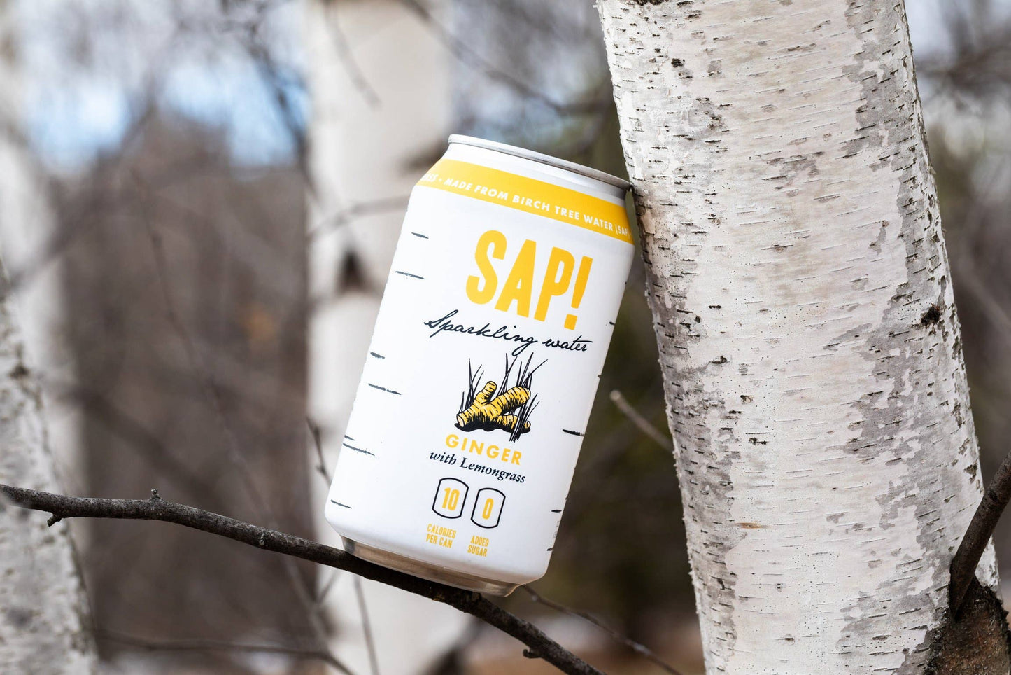 Sap! Ginger-Lemongrass Sparkling Water
