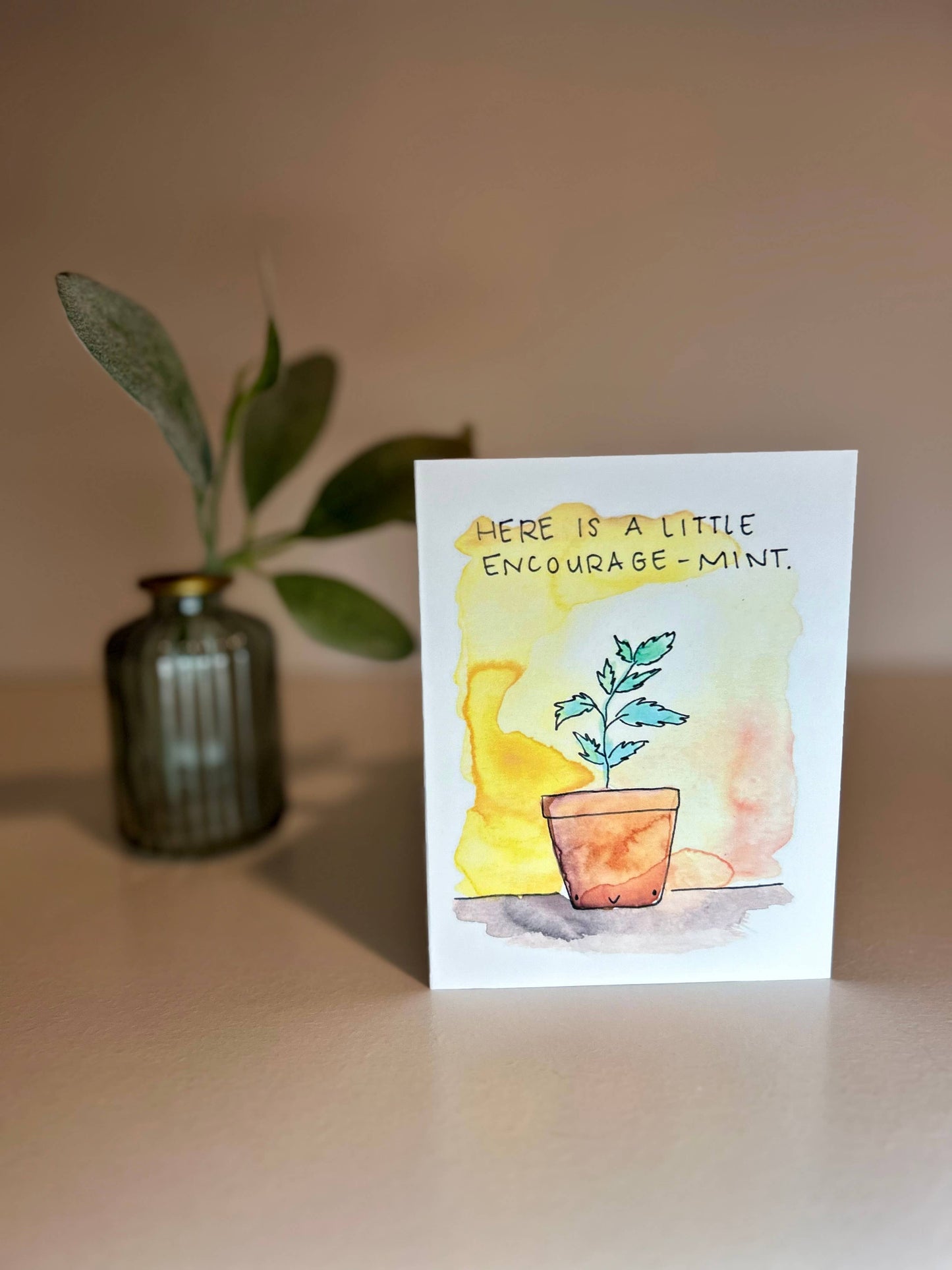 Assorted 6 Pack - Positive Plants