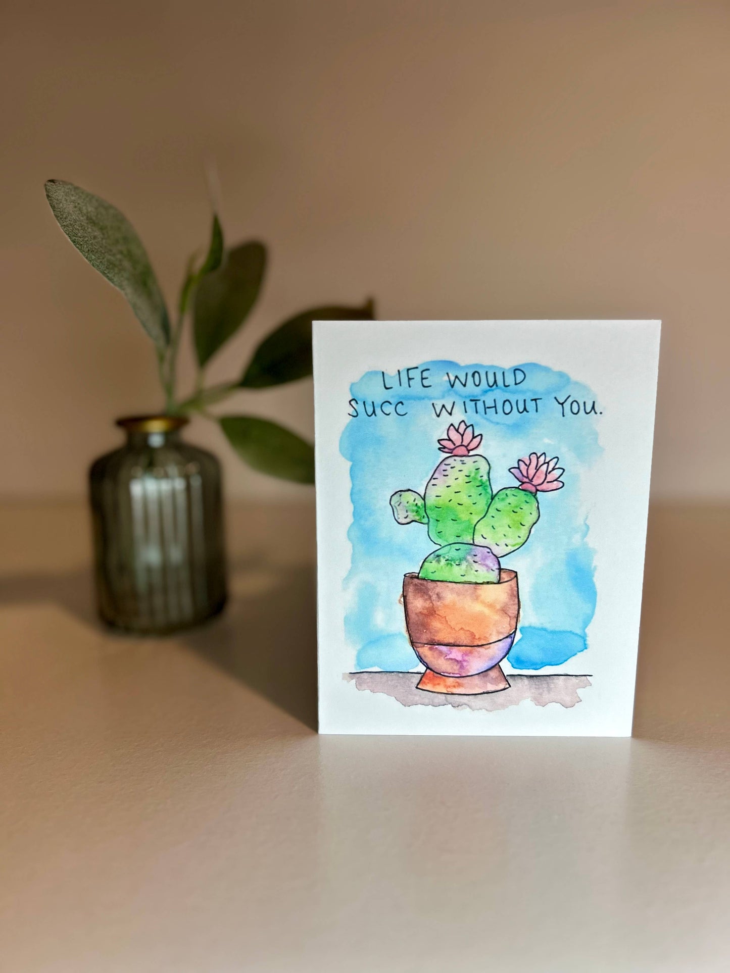 Assorted 6 Pack - Positive Plants