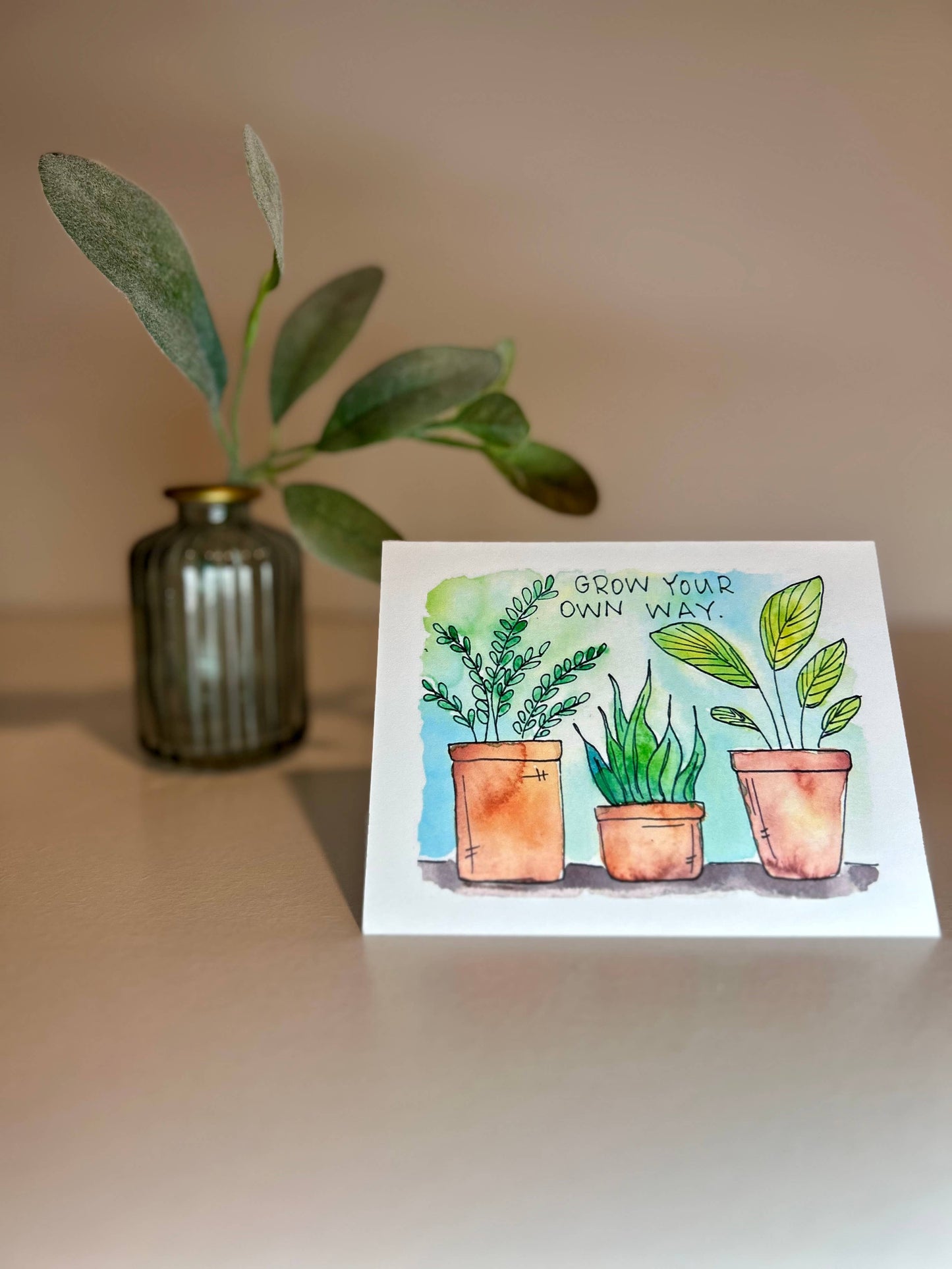 Assorted 6 Pack - Positive Plants