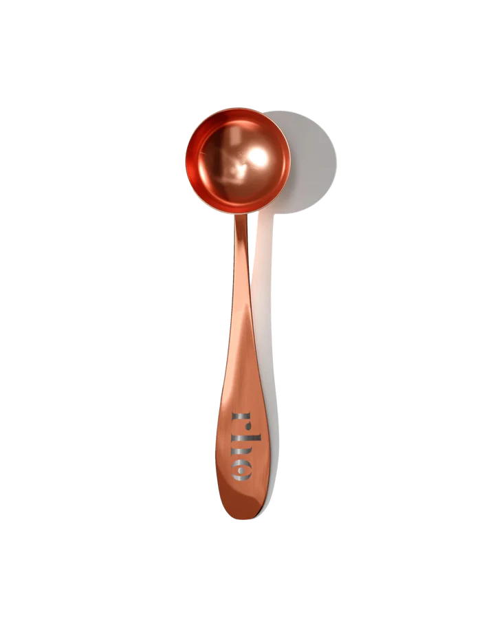 Stainless Steel Serving Spoon