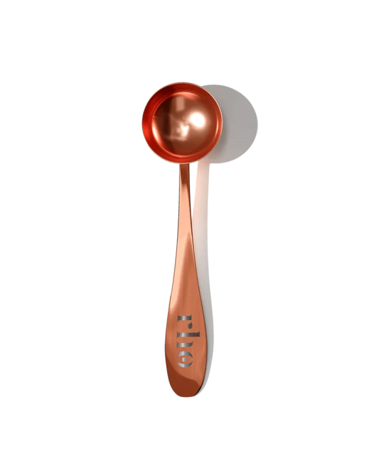 Stainless Steel Serving Spoon