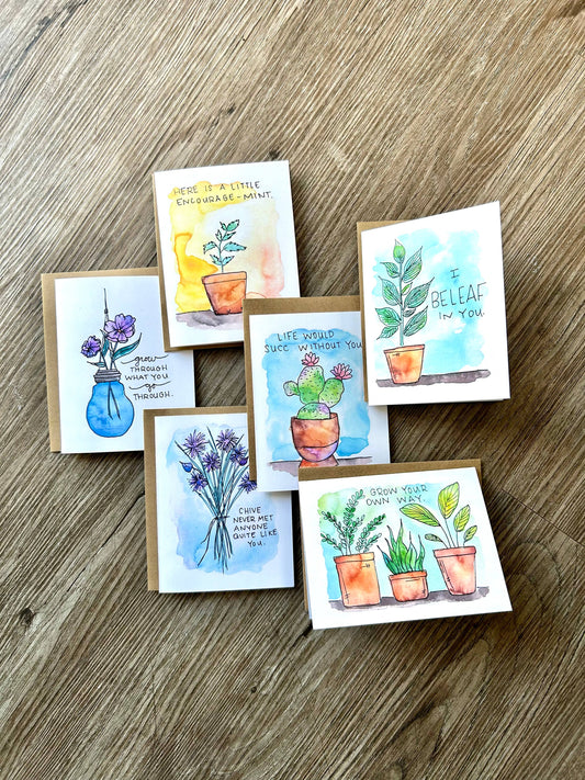 Assorted 6 Pack - Positive Plants